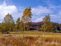 Beskid Niski